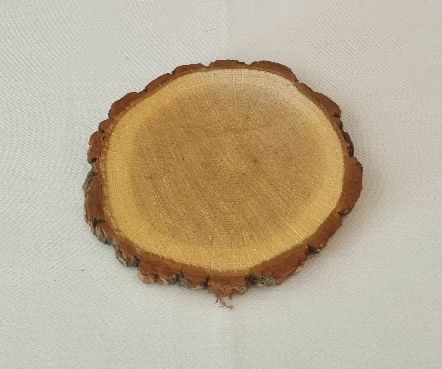 Kleine Baumscheibe "EICHE", ca. 10cm Durchmesser