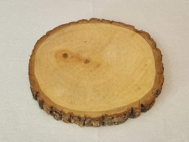Baumscheibe Linde Durchmesser ca.20x2cm