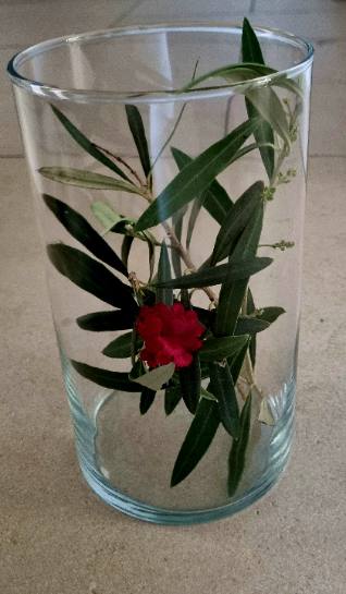 Zylindervase mit Olivenzweigen