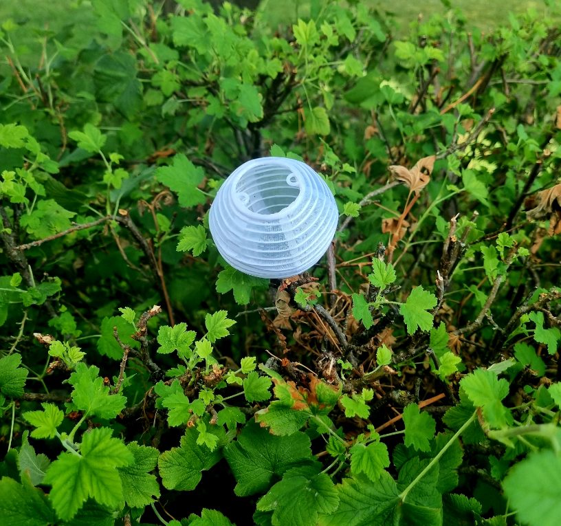 Lampionlicht von oben