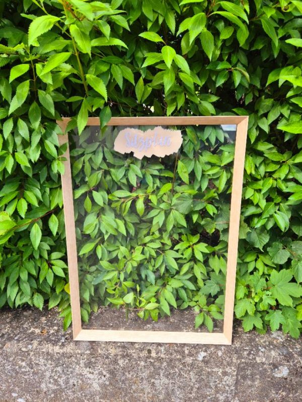 Sitzplan Plexi